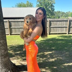 Meet your Posher, Halle